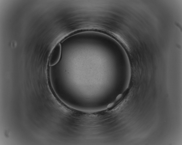 X0000093120943200709261325