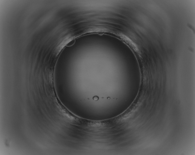 X0000093120945200709261325