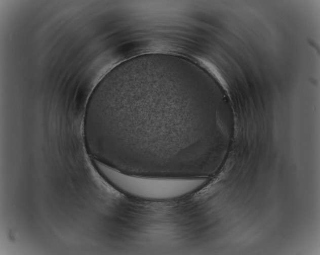 X0000093120946200709261325