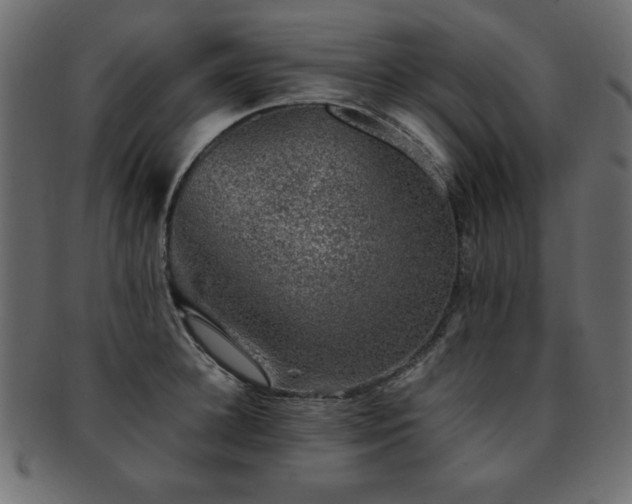 X0000093120948200709261325