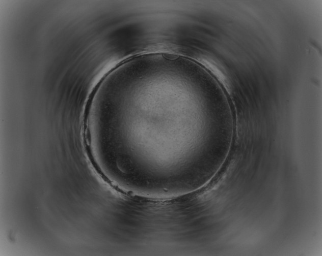X0000093120949200709261325