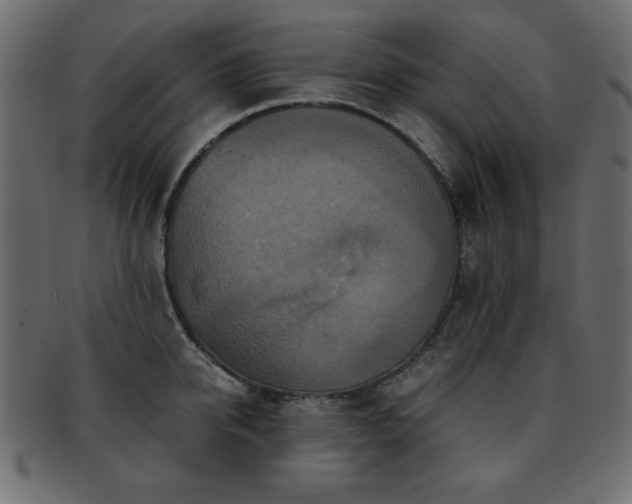 X0000093120950200709261325