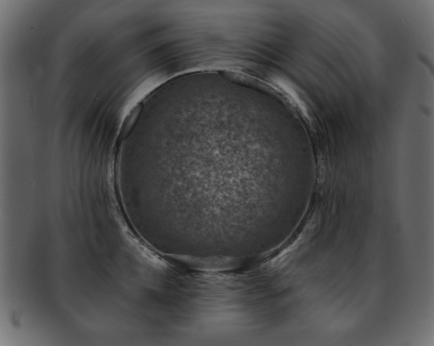 X0000093120952200709261325