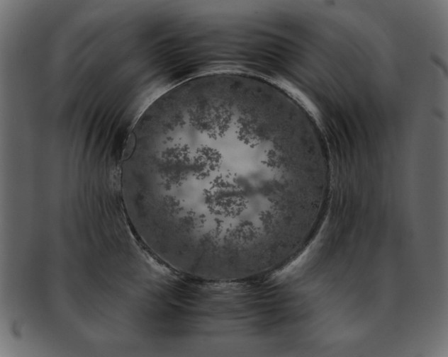 X0000093120953200709261325