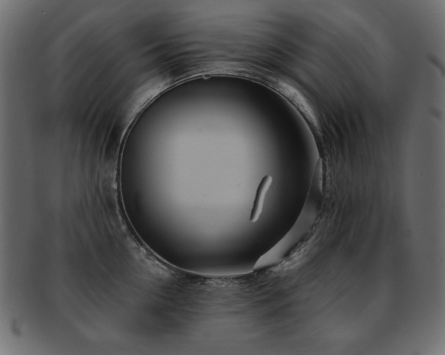 X0000093120954200709261325