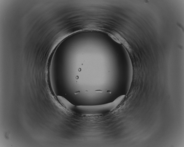 X0000093120955200709261325