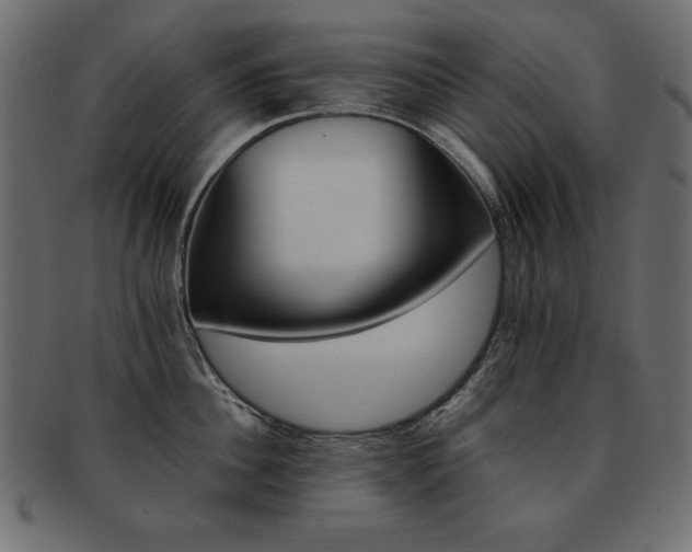 X0000093120956200709261325