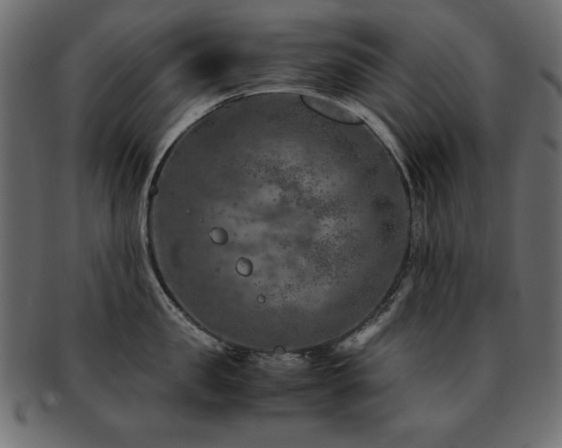 X0000093120957200709261325