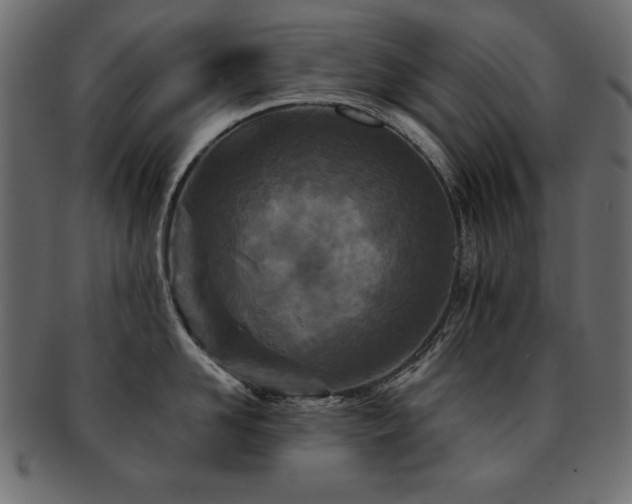 X0000093120958200709261325