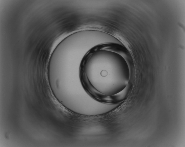 X0000093120960200709261325