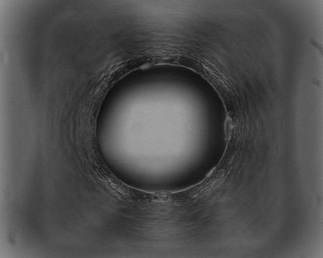 X0000093120961200709261325