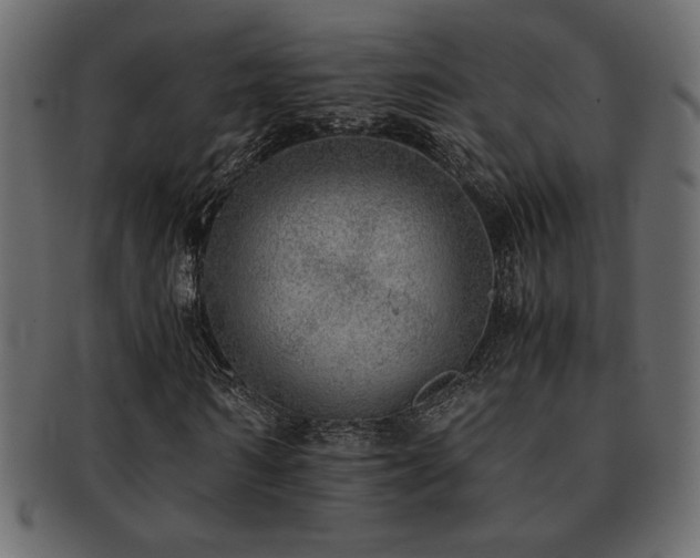 X0000093120962200709261325