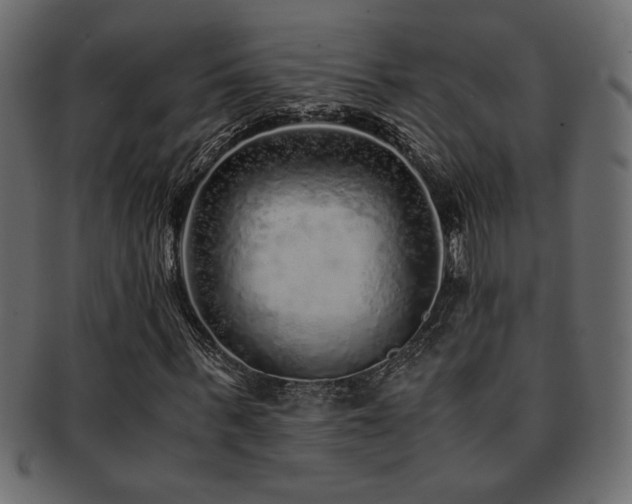 X0000093120963200709261325