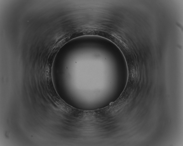 X0000093120964200709261325