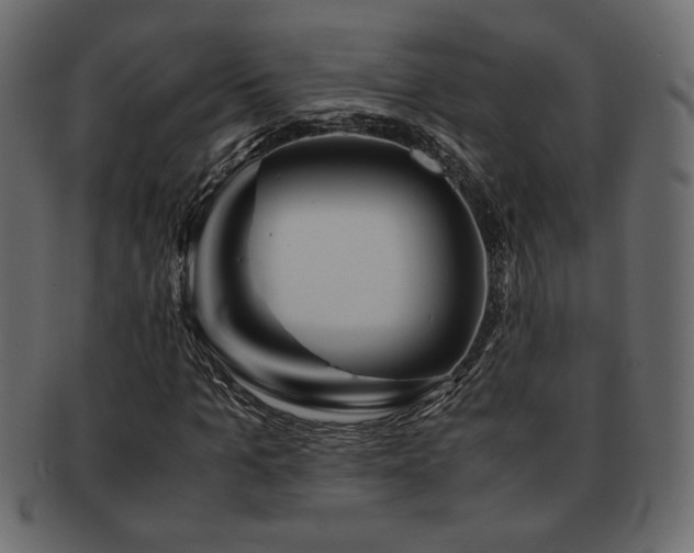 X0000093120965200709261325