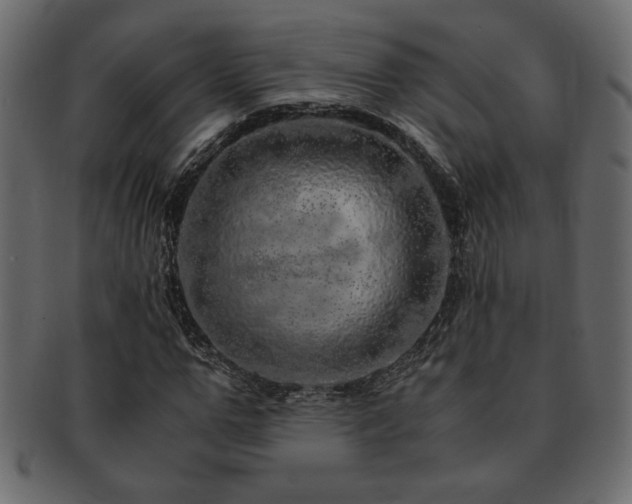 X0000093120967200709261325
