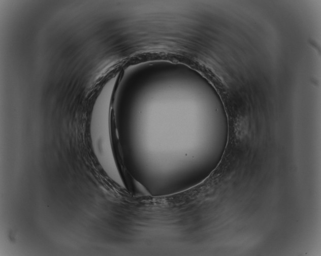 X0000093120968200709261325