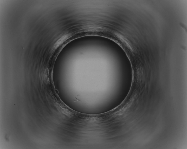 X0000093120970200709261325