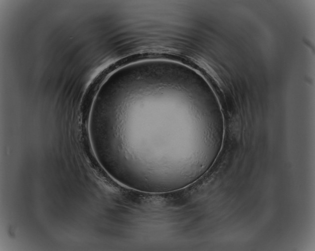 X0000093120971200709261325