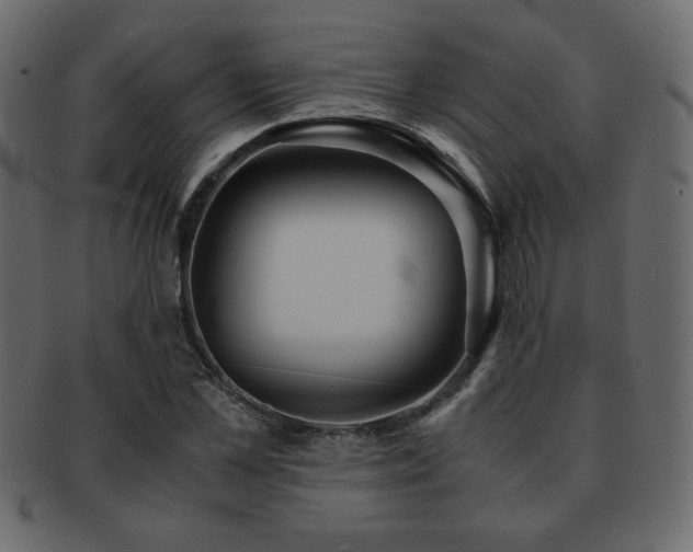 X0000093120973200709261324