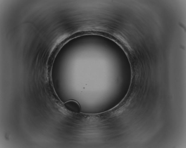 X0000093120974200709261324