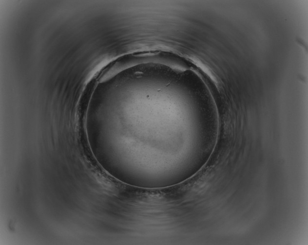 X0000093120975200709261324