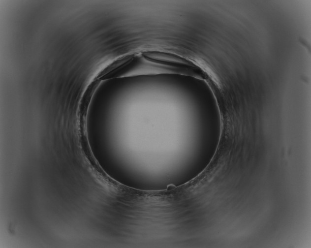 X0000093120976200709261324