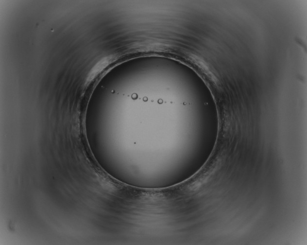 X0000093120978200709261324
