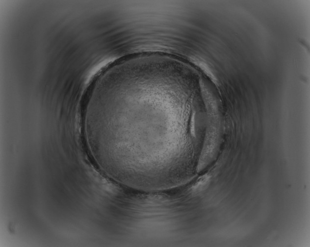 X0000093120979200709261324