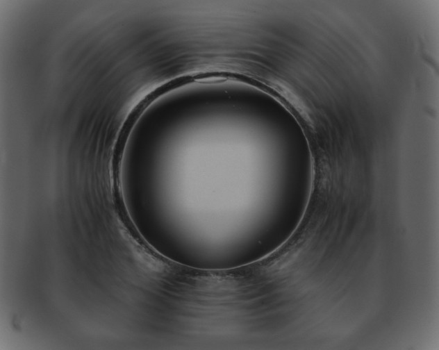 X0000093120980200709261324