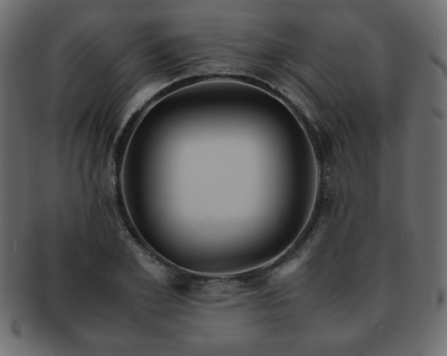 X0000093120981200709261324
