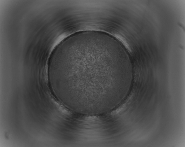 X0000093120982200709261324
