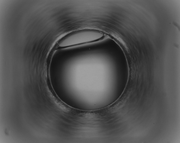 X0000093120984200709261324