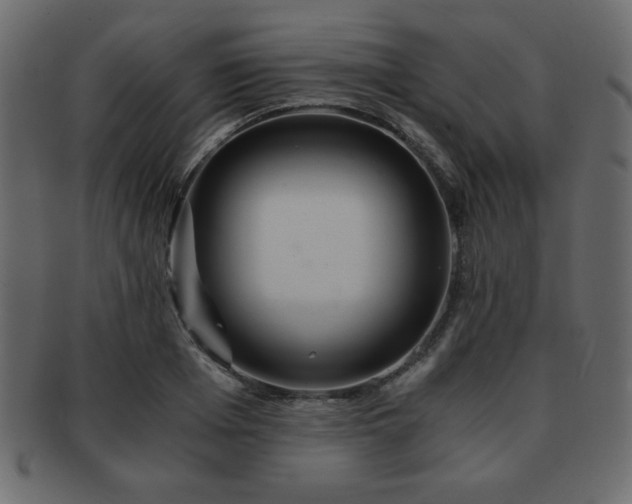 X0000093120985200709261324