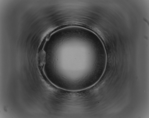 X0000093120987200709261324