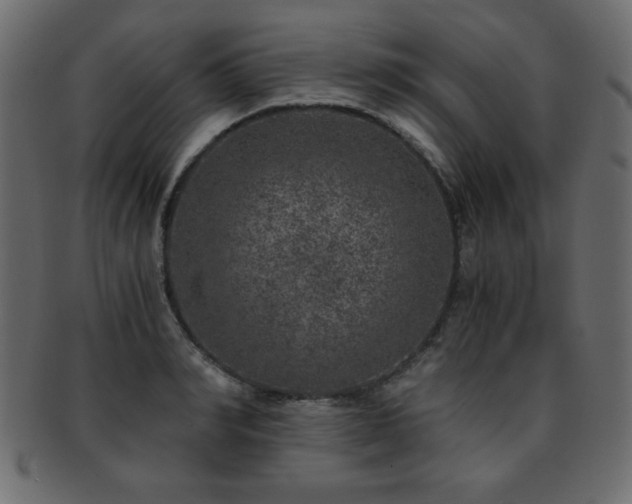 X0000093120990200709261324