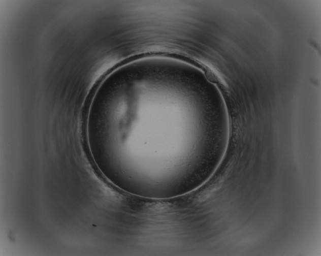 X0000093120991200709261324