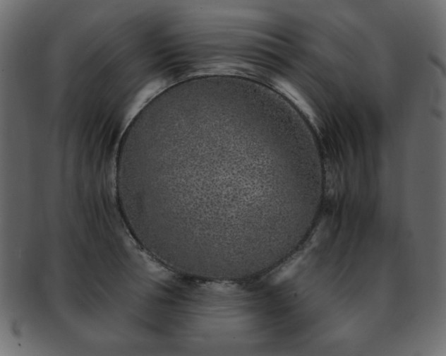 X0000093120994200709261324