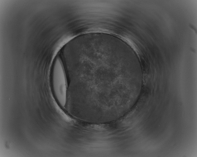 X0000093120995200709261324