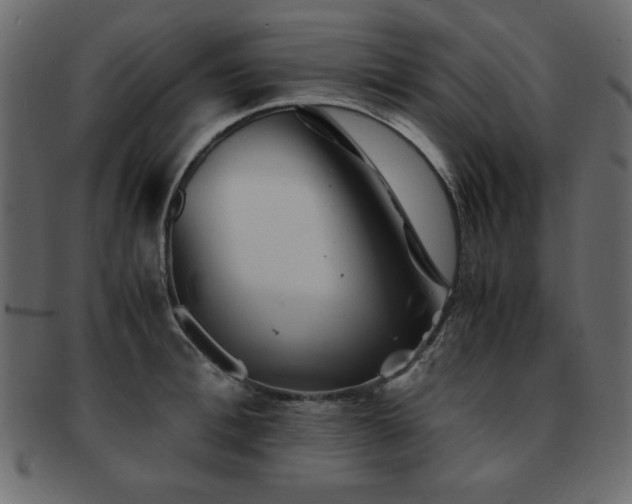 X0000093120996200709261324