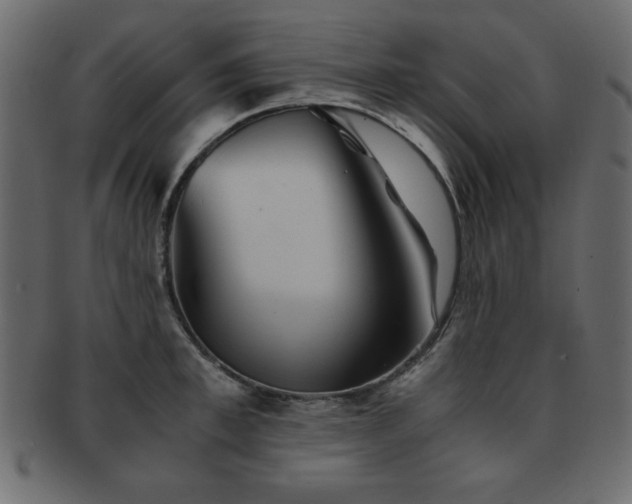 X0000093120997200709261324