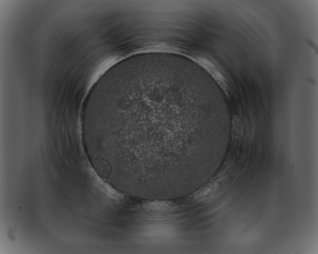 X0000093120998200709261324