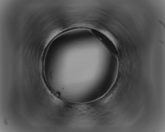 X0000093120999200709261324
