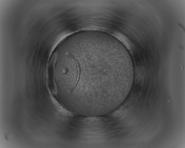 X0000093121000200709261324