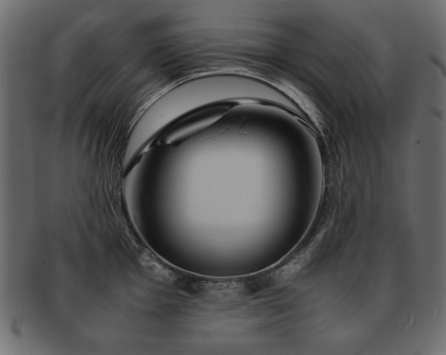 X0000093121001200709261324