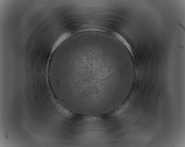 X0000093121002200709261324