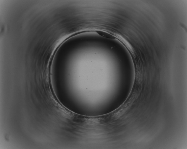 X0000093121004200709261324