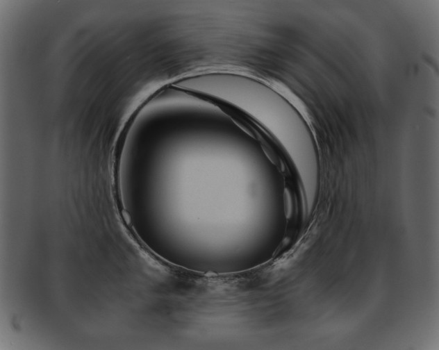 X0000093121005200709261324
