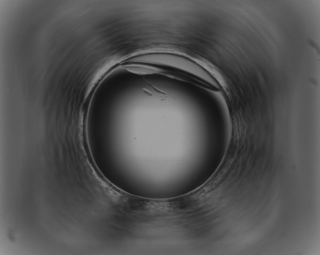 X0000093121006200709261324