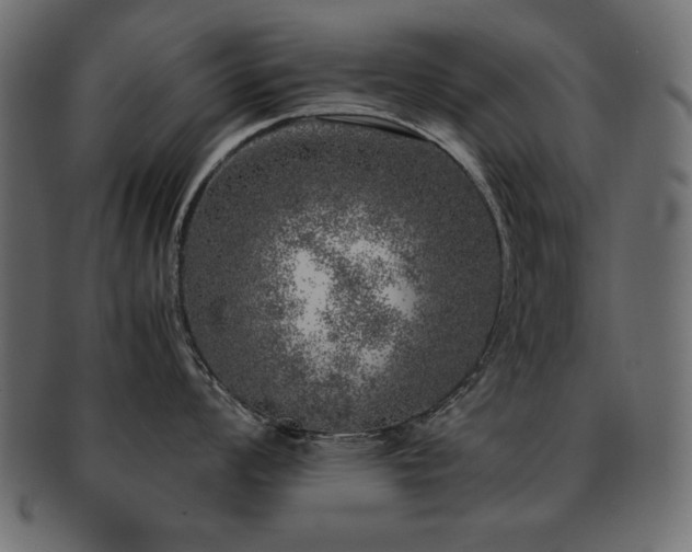 X0000093121008200709261324